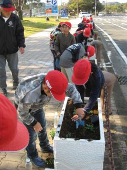 美し化プロジェクト