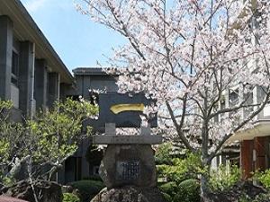 �悤�����j�����w�Z��