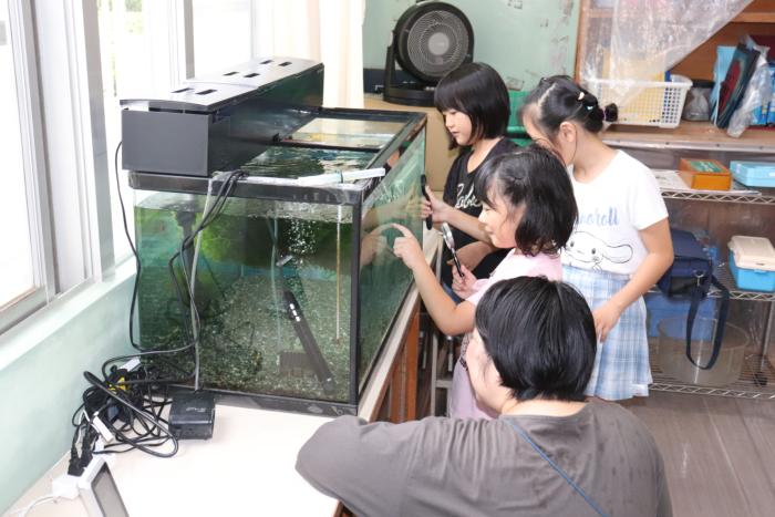 学校訪問