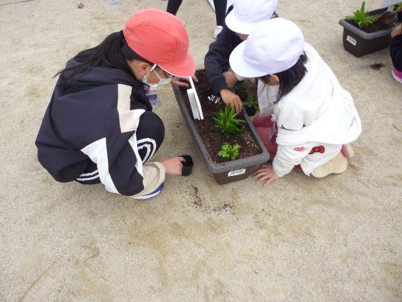 花いっぱい運動