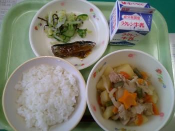 給食