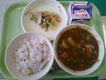 給食
