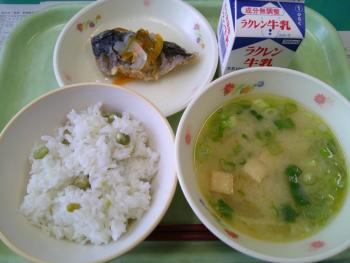 給食