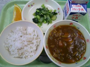 給食