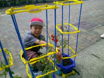 学習
