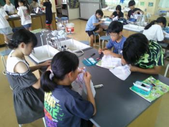学習