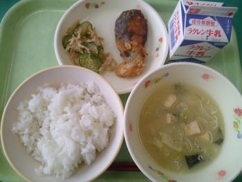 給食