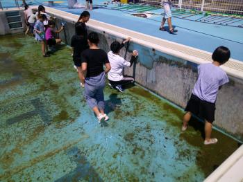学習