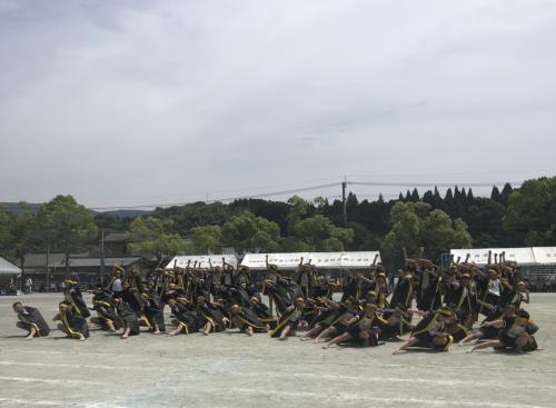 南小ソーラン2019