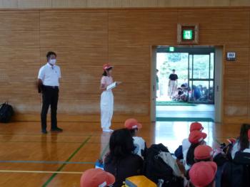 しか