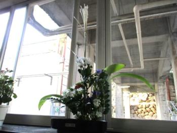 お花教室