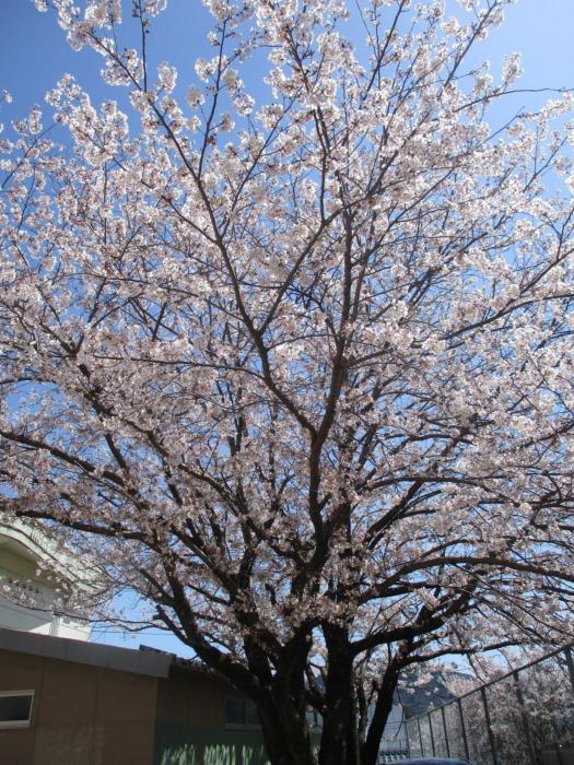 着任式・始業式