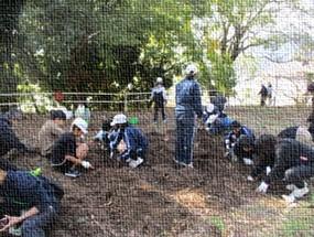 特別支援学級(春日小・大野小・大野中)芋ほり交流会