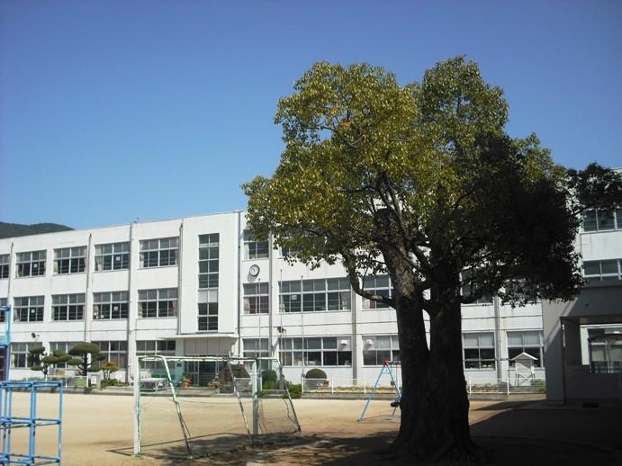 くすのき