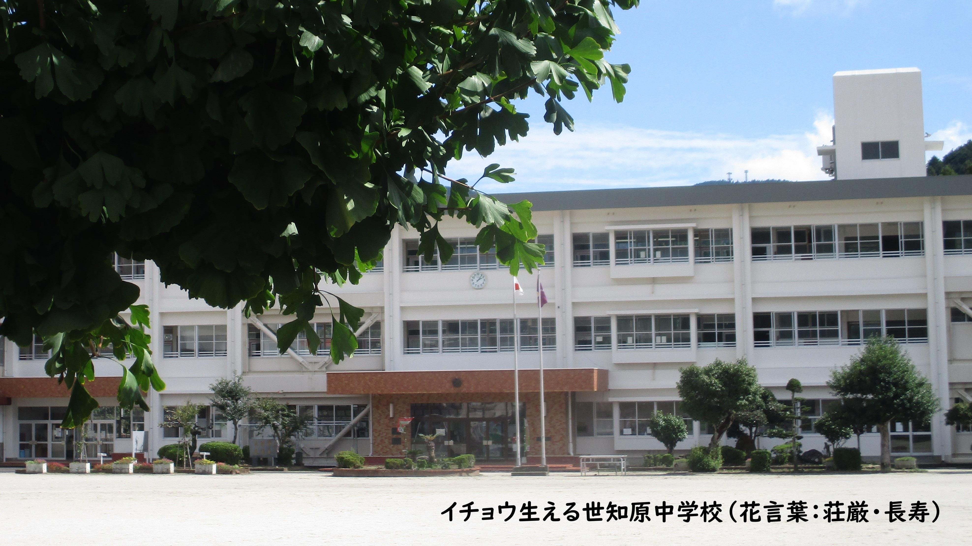 HP�摜